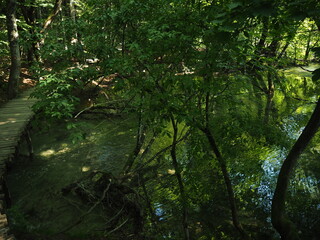 Obraz premium Plitvice Lakes National park, Croatia 