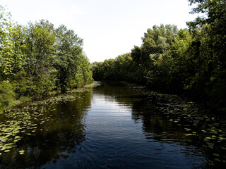Fototapeta na wymiar River in the park