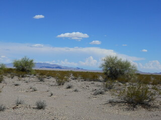 The scenery of the Mojave Desert, Chemehuevi Mountain Wilderness,  San Bernardino County, California.