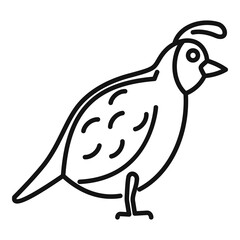 Quail fauna icon. Outline quail fauna vector icon for web design isolated on white background