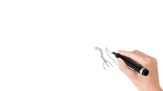 Denist computer drawing whiteboard animation of job position