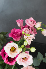 Pink flowers against a gray background 