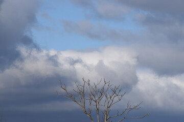 Obraz premium clouds in the sky