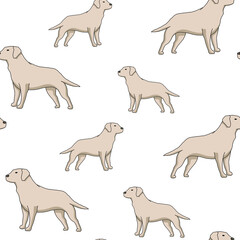 Seamless pattern with labrador retriever dog