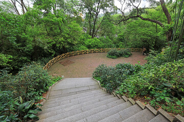 Scenery of bamboo forest scenic spot