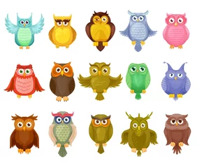 Papier Peint Lavable Chouette Owl Birds vector design de chouettes de dessin animé mignon. Grange à plumes colorées, hiboux à longues oreilles et grands-ducs avec ailes déployées et grands yeux, oiseaux de proie de la forêt sauvage isolés pour la conception de la mascotte de la faune