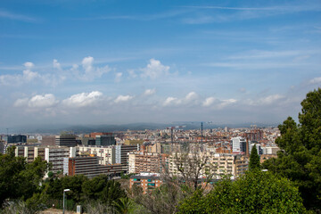 Naklejka premium Espacio entre árboles en la montaña de Montjuic desde donde se divisa una parte de Barcelona.