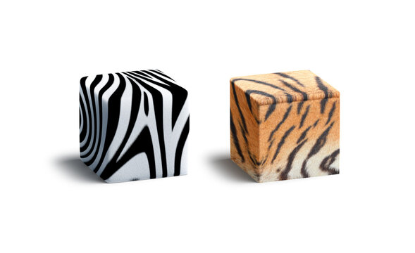Blank zebra and tiger surface cube mockup set