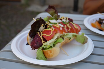 a delicious hotdog with salad, tomato and mayonese
