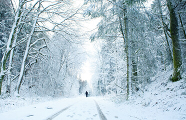 Winter Trees covered with snow and man