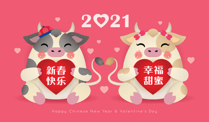 2021 year of the Ox Valentine's flat design. Cute cartoon cow couple holding red heart with greetings text. 14 february Chinese New year illustration. (translation: may you have a happiness new year)