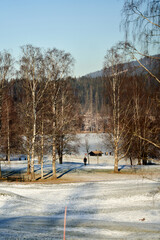 Walking for just the walk is a favorite activity in Norway. Families are gathering at the frozen lake for skating and having fun. It is a cold Sunday in January .
