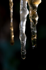 Eizzapfen farbig Winter Makro gerfärbt golden transparent durchscheinend Detail Tropfen Tau klar...