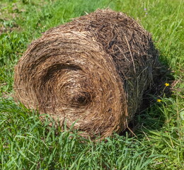 A bale of straw on a background of green grass in the summer