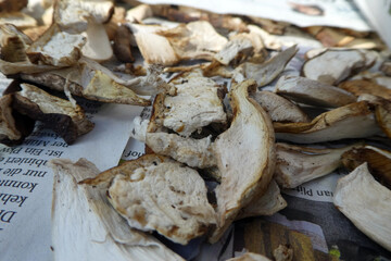 Getrocknete Steinpilze