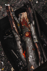 Obraz premium Camping in the woods. Preparation of logs for kindling. Logs with smoke in the brazier.