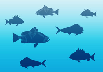 Silueta de peces en el fondo del mar.