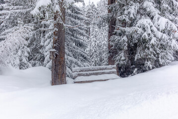 A bench covered in snow during a ski touring in the mountains and forest above Alvaneu in the Swiss Alps