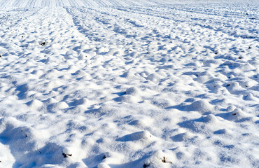 Snowy plowed field on sunny winter day