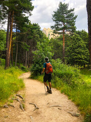 Obraz premium Hiker walking through the forest on the mountain of Madrid