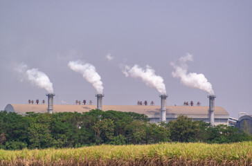 Fototapeta na wymiar Energy. Smoke from chimney of power plant or station. Industrial landscape, a sugar mill polluting the atmosphere with smoke and smog.