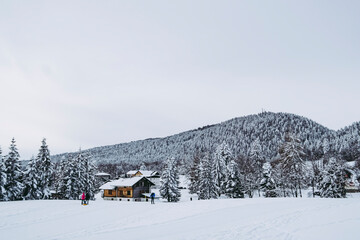 Panorama sur une station de ski de fond - Vue sur les montagnes enneigées