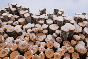 Piles of freshly cut logs under the snow, ready to be taken out of the forest.