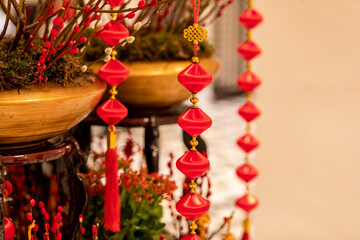 Chinese New Year decorations