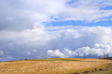 Landscape in Bavaria with a harvested grain field on a hill. Above it a very cloudy sky