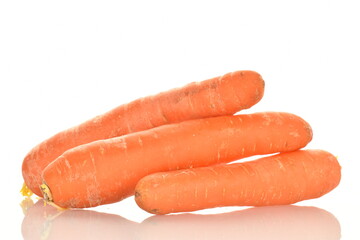 Several fresh organic, unpeeled carrots, close-up, isolated on white.