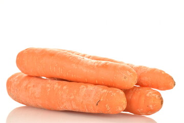 Several fresh organic, unpeeled carrots, close-up, isolated on white.