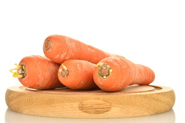 Several fresh organic, unpeeled carrots on a wooden dish, close-up, isolated on white.
