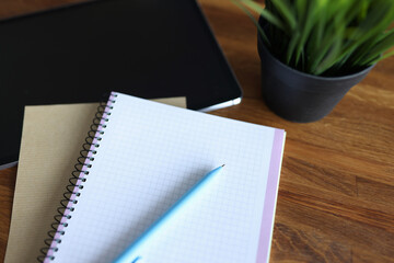 Ballpoint pen and notebook lying on desktop closeup