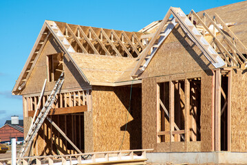 wall and rafters of a plywood house