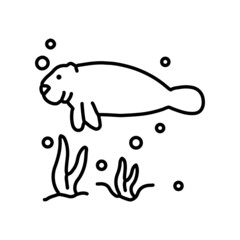 Seal water animal line icon