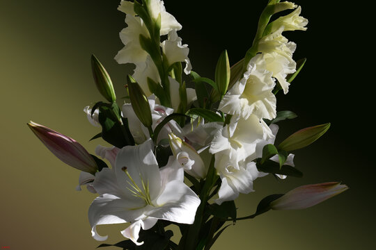 Bouquet de lys Zamb&eacute;si et gla&iuml;euls White prosperity