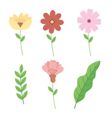 bundle of flowers and leafs decoration vector illustration design