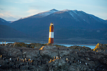 Penguin Islands in Argentine Patagonia