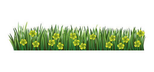 Green grass border. Fresh green floral grass. Isolated on transparent background. Illustration for use as design element