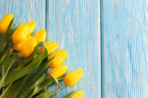 mother's day concept. tulips flower on pastel blue wooden background.