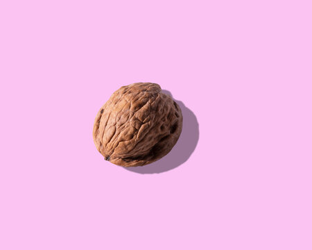 From above brown walnut on pink background in studio