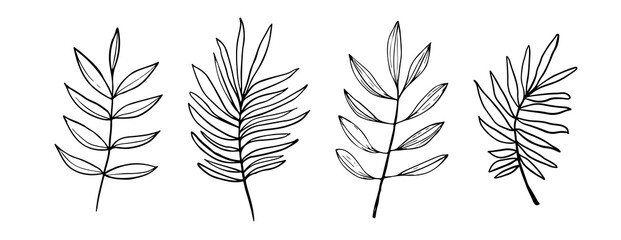 Floral Set of black hand drawn leaves and branches isolated on white. Collection of flourish elements for design. Vector illustration. Tropical palm branches © Leria Kaleria