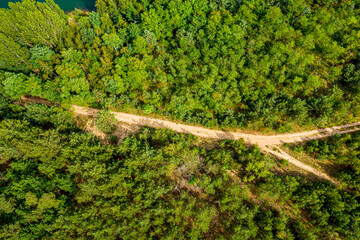 Aerial view of countryside road passing through the green forrest