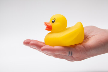 Yellow rubber duck on the palm of the hand isolated
