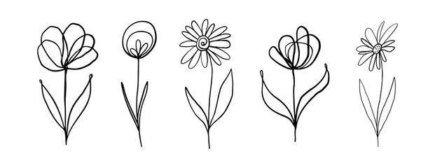 Botanical set of black hand drawn leaves and flowers isolated on white. Prosperity elements collection for design. Vector illustration. Flowers in one line