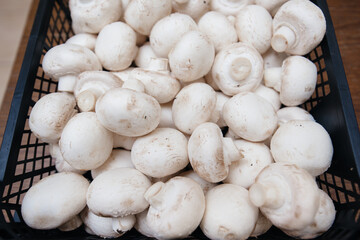 Ripe fresh mushrooms in a box in the warehouse after assembling a close-up.