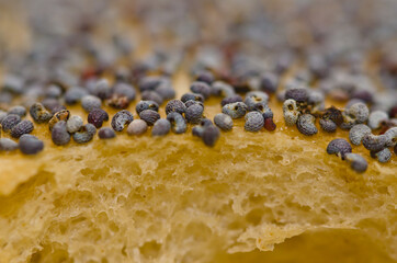 a tasty bun sprenkled with poppy seeds, macro and close up with details

