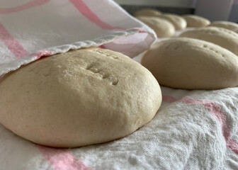 Masa pan amasado (Bollos - pan casero) sin hornear con luz natural