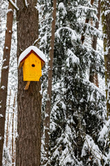 Bright yellow birdhouse on a tree in a winter snowy forest. Winter. Winter forest