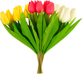 bouquet of tulips​ whitebackground